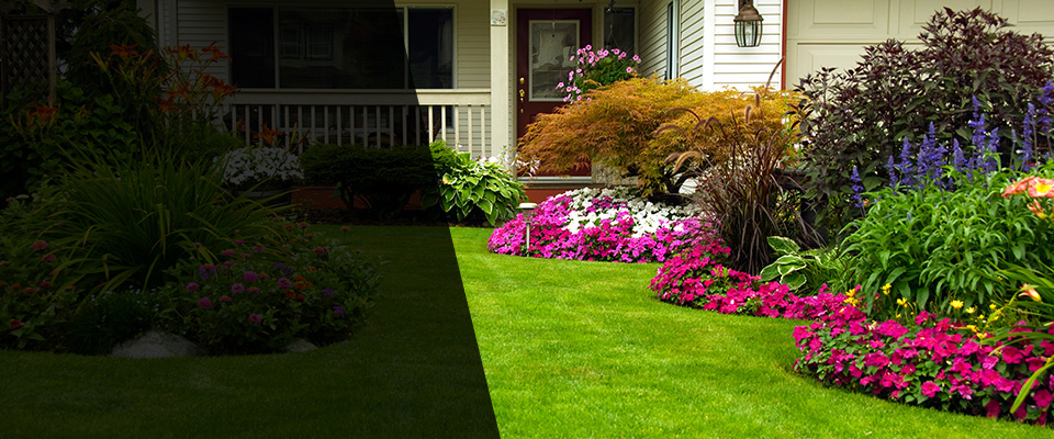 Phil Campbell Landscapers