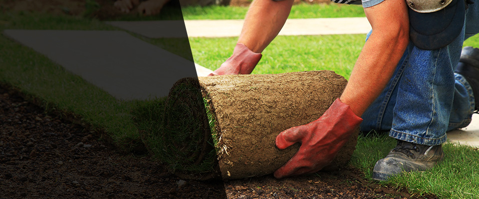 Phil Campbell Landscapers